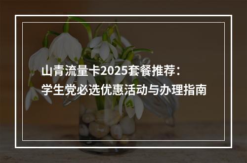 山青流量卡2025套餐推荐：学生党必选优惠活动与办理指南