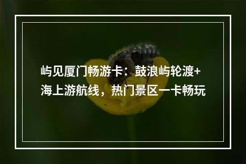 屿见厦门畅游卡：鼓浪屿轮渡+海上游航线，热门景区一卡畅玩