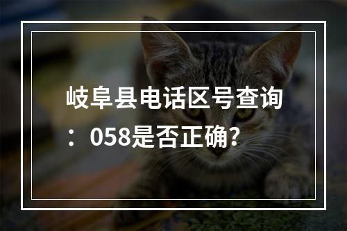 岐阜县电话区号查询：058是否正确？