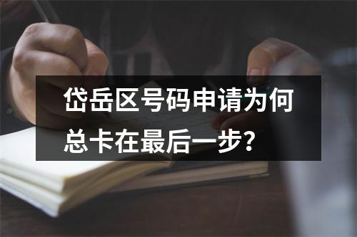 岱岳区号码申请为何总卡在最后一步？