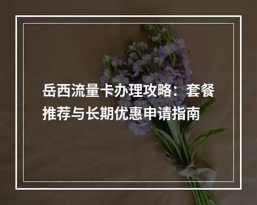 岳西流量卡办理攻略：套餐推荐与长期优惠申请指南