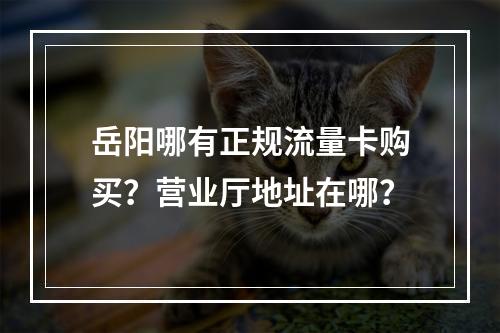 岳阳哪有正规流量卡购买？营业厅地址在哪？