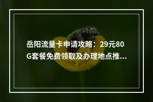 岳阳流量卡申请攻略：29元80G套餐免费领取及办理地点推荐