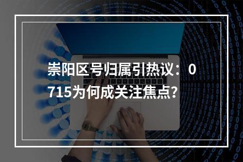 崇阳区号归属引热议：0715为何成关注焦点？