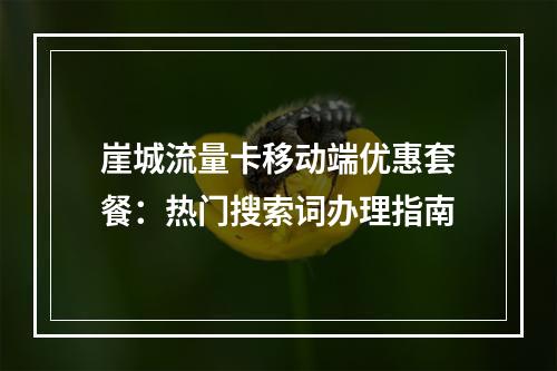崖城流量卡移动端优惠套餐：热门搜索词办理指南
