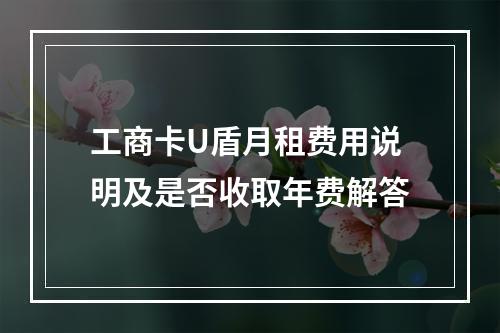 工商卡U盾月租费用说明及是否收取年费解答