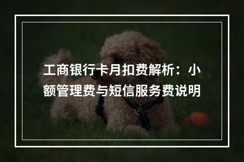 工商银行卡月扣费解析：小额管理费与短信服务费说明
