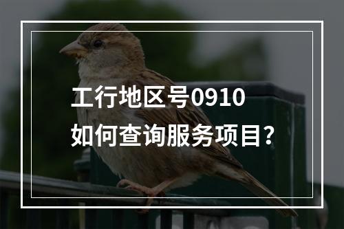 工行地区号0910如何查询服务项目？