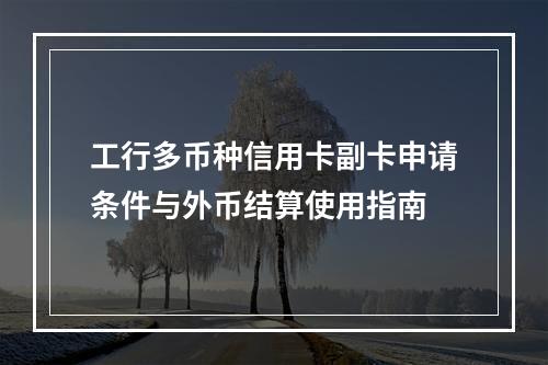 工行多币种信用卡副卡申请条件与外币结算使用指南