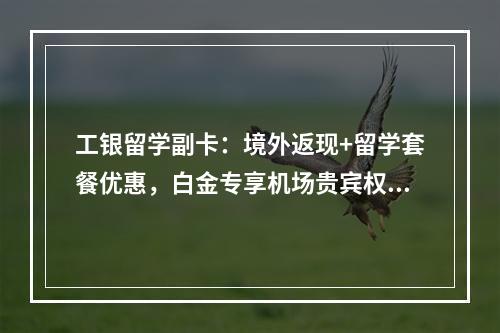 工银留学副卡：境外返现+留学套餐优惠，白金专享机场贵宾权益