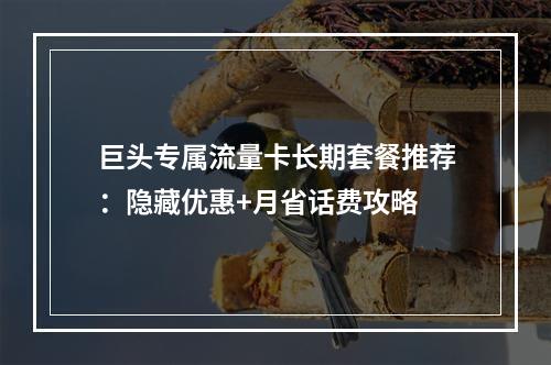 巨头专属流量卡长期套餐推荐：隐藏优惠+月省话费攻略