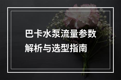 巴卡水泵流量参数解析与选型指南