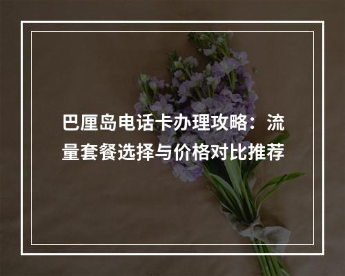 巴厘岛电话卡办理攻略：流量套餐选择与价格对比推荐