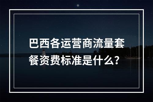巴西各运营商流量套餐资费标准是什么？