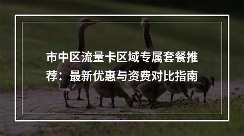 市中区流量卡区域专属套餐推荐：最新优惠与资费对比指南