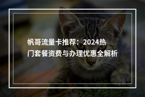 帆哥流量卡推荐：2024热门套餐资费与办理优惠全解析