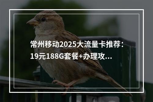 常州移动2025大流量卡推荐：19元188G套餐+办理攻略