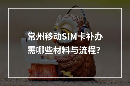 常州移动SIM卡补办需哪些材料与流程？