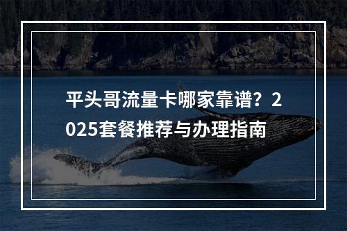平头哥流量卡哪家靠谱？2025套餐推荐与办理指南