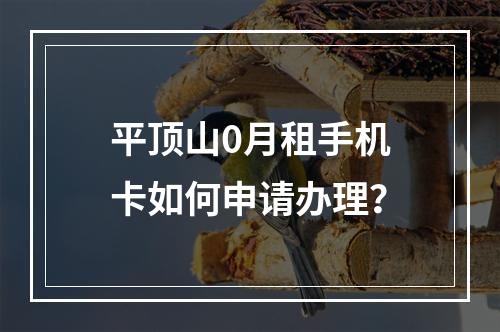 平顶山0月租手机卡如何申请办理？