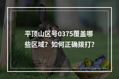 平顶山区号0375覆盖哪些区域？如何正确拨打？