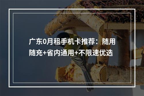 广东0月租手机卡推荐：随用随充+省内通用+不限速优选