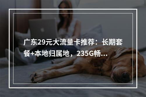 广东29元大流量卡推荐：长期套餐+本地归属地，235G畅享