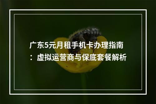广东5元月租手机卡办理指南：虚拟运营商与保底套餐解析
