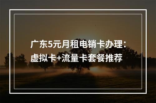 广东5元月租电销卡办理：虚拟卡+流量卡套餐推荐