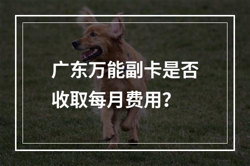 广东万能副卡是否收取每月费用？