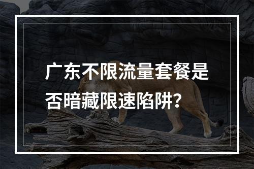 广东不限流量套餐是否暗藏限速陷阱？