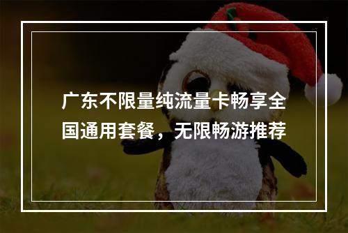 广东不限量纯流量卡畅享全国通用套餐，无限畅游推荐