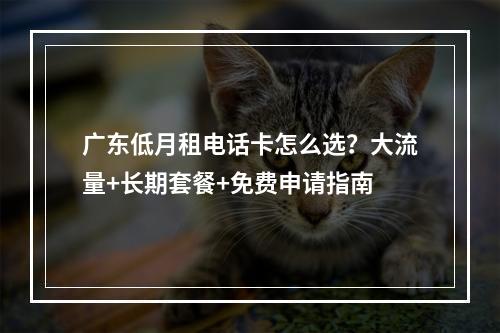 广东低月租电话卡怎么选？大流量+长期套餐+免费申请指南