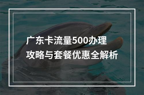 广东卡流量500办理攻略与套餐优惠全解析