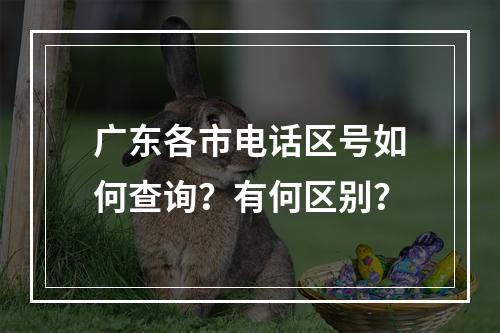 广东各市电话区号如何查询？有何区别？