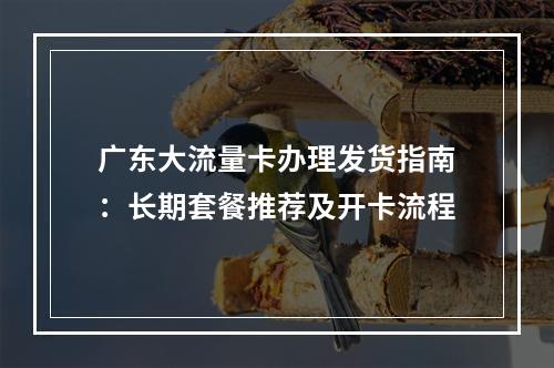 广东大流量卡办理发货指南：长期套餐推荐及开卡流程