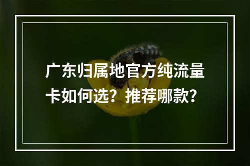 广东归属地官方纯流量卡如何选？推荐哪款？
