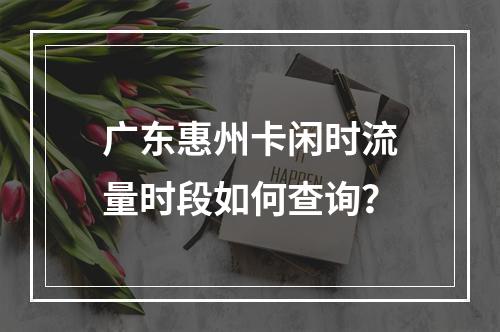 广东惠州卡闲时流量时段如何查询？
