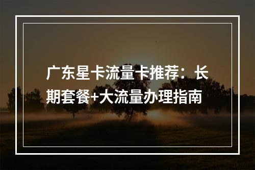 广东星卡流量卡推荐：长期套餐+大流量办理指南