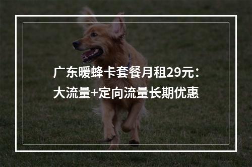 广东暖蜂卡套餐月租29元：大流量+定向流量长期优惠