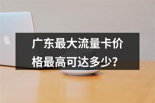 广东最大流量卡价格最高可达多少？