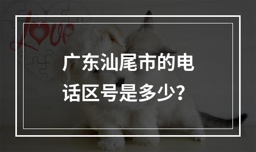广东汕尾市的电话区号是多少？