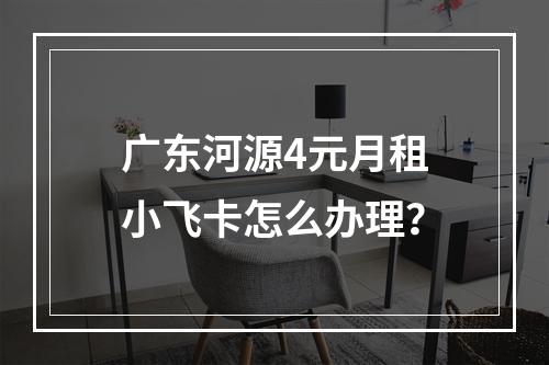 广东河源4元月租小飞卡怎么办理？