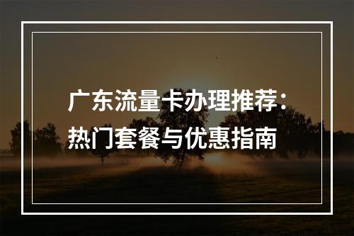 广东流量卡办理推荐：热门套餐与优惠指南