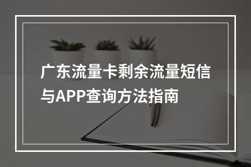 广东流量卡剩余流量短信与APP查询方法指南