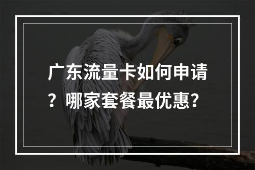 广东流量卡如何申请？哪家套餐最优惠？