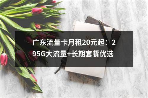广东流量卡月租20元起：295G大流量+长期套餐优选