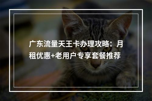 广东流量天王卡办理攻略：月租优惠+老用户专享套餐推荐