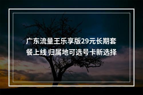 广东流量王乐享版29元长期套餐上线 归属地可选号卡新选择