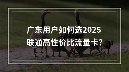 广东用户如何选2025联通高性价比流量卡？